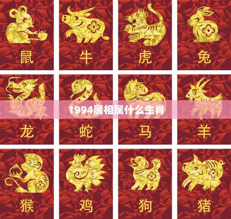 1994年生肖|1994 年出生属什么生肖